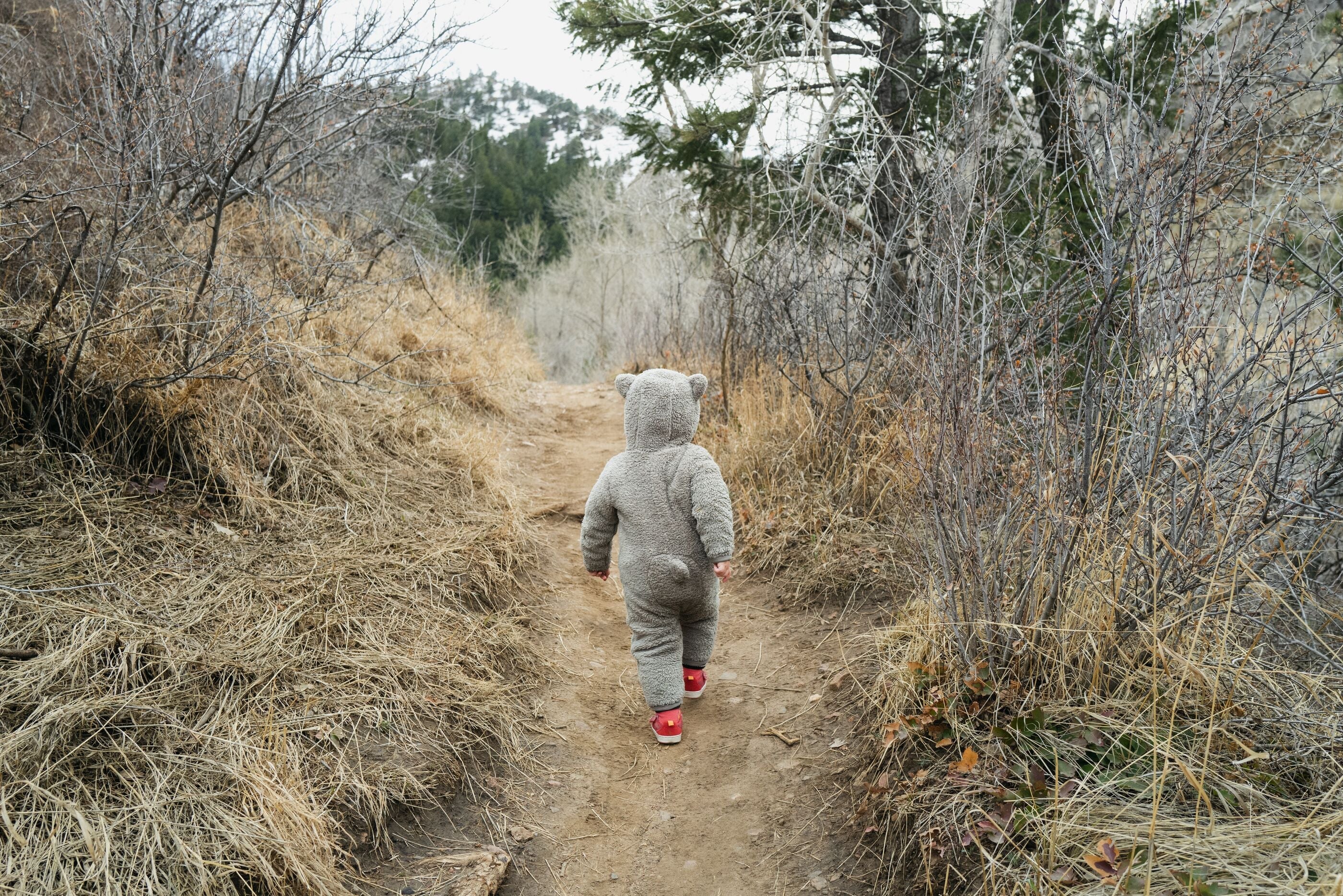 Guide to Hiking with Kids - Mountain Kids Outfitters