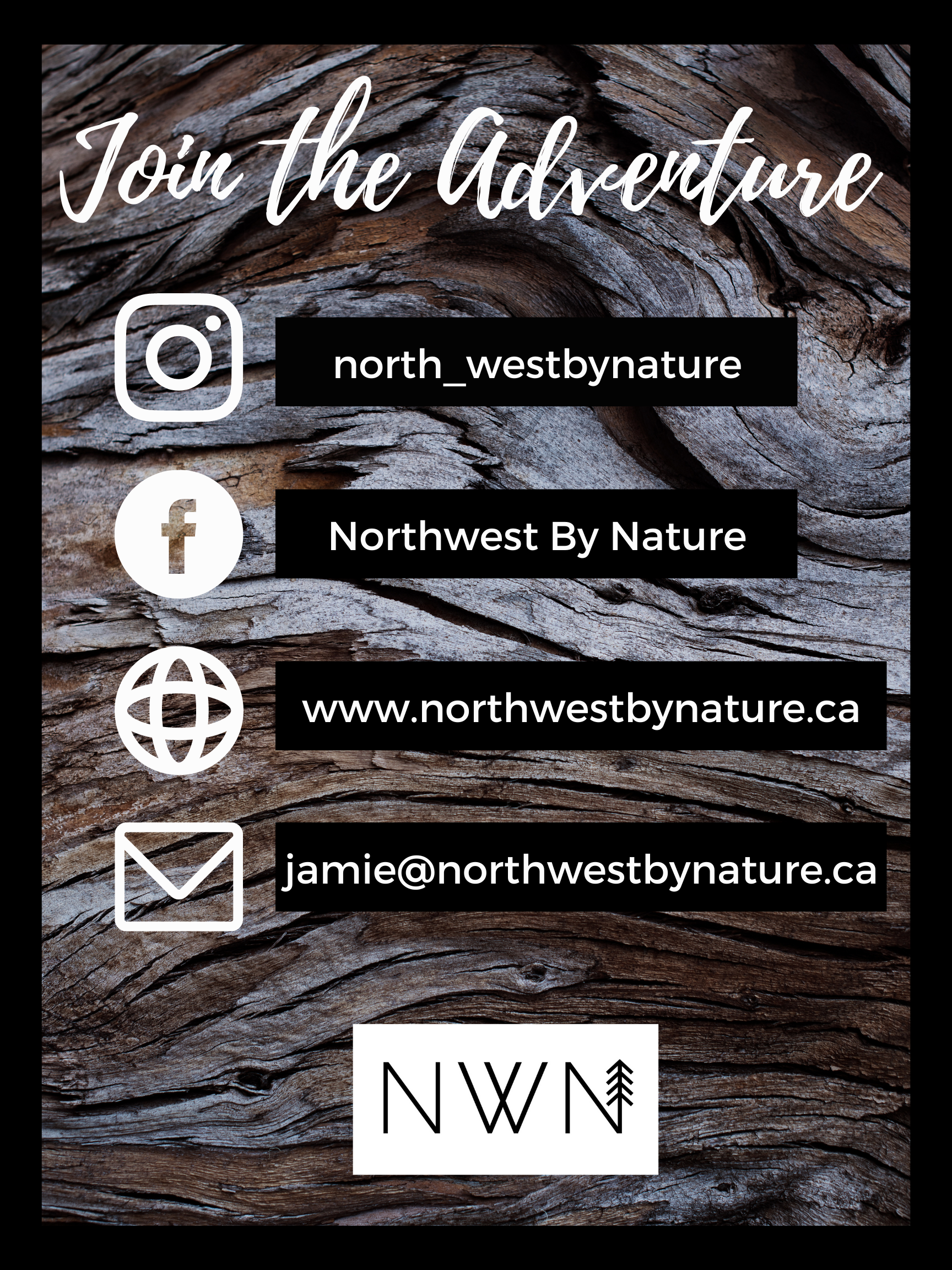 Bear Cub Biker Sticker - Downhill Mountain Biking Baby Bear