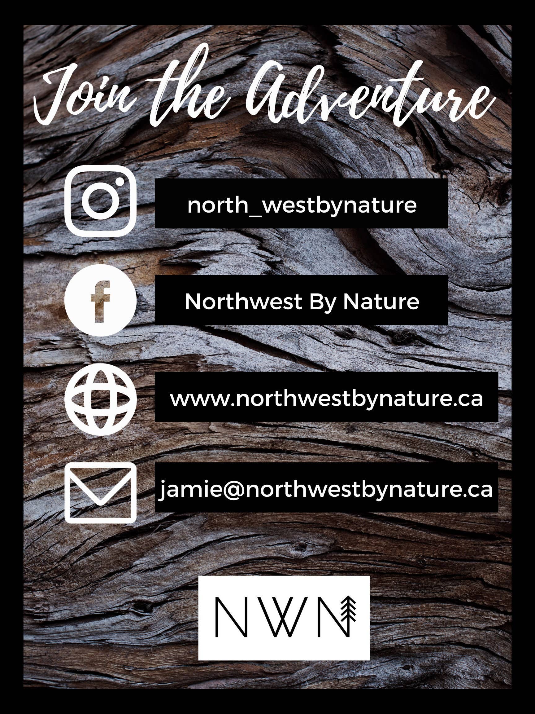 Peak Express Ducks Chairlift Whistler BC Sticker