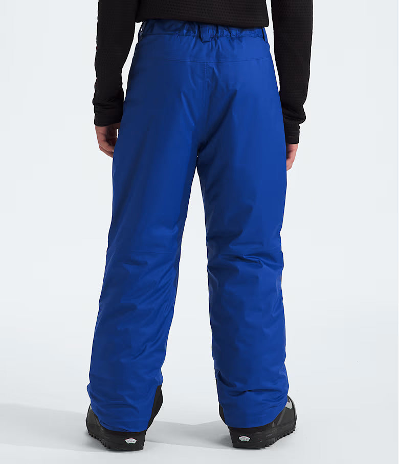 The North Face Boys' Freedom Insulated Pants
