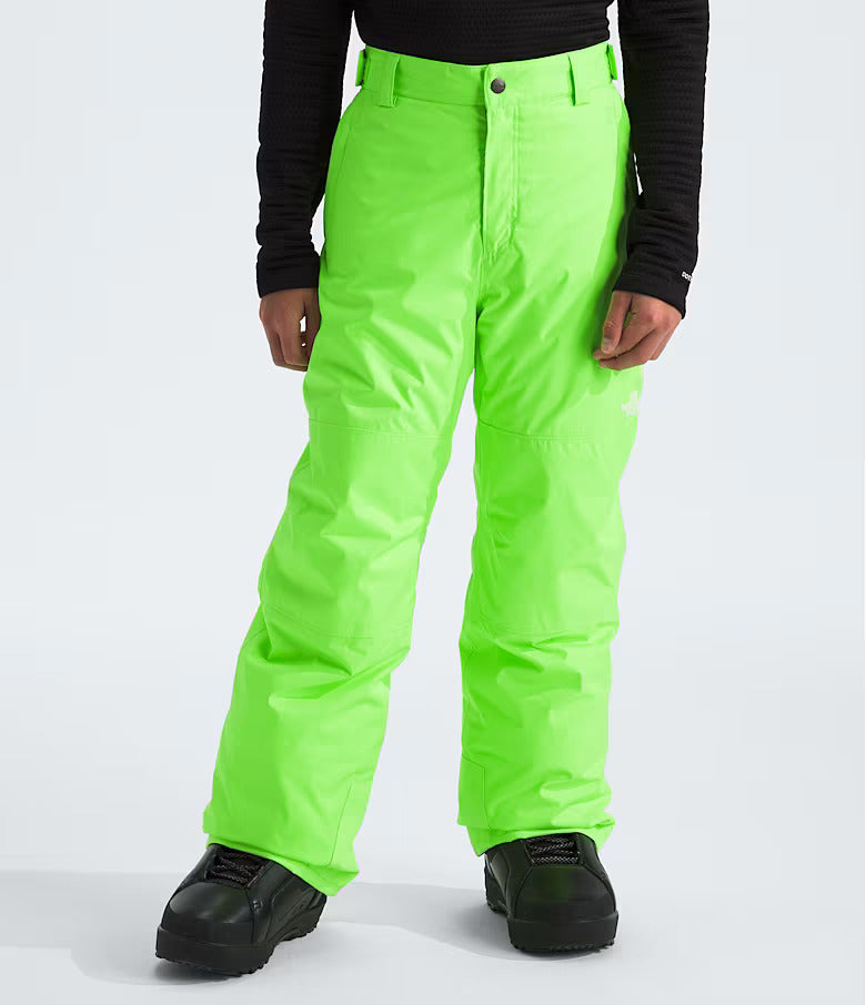 The North Face Boys' Freedom Insulated Pants