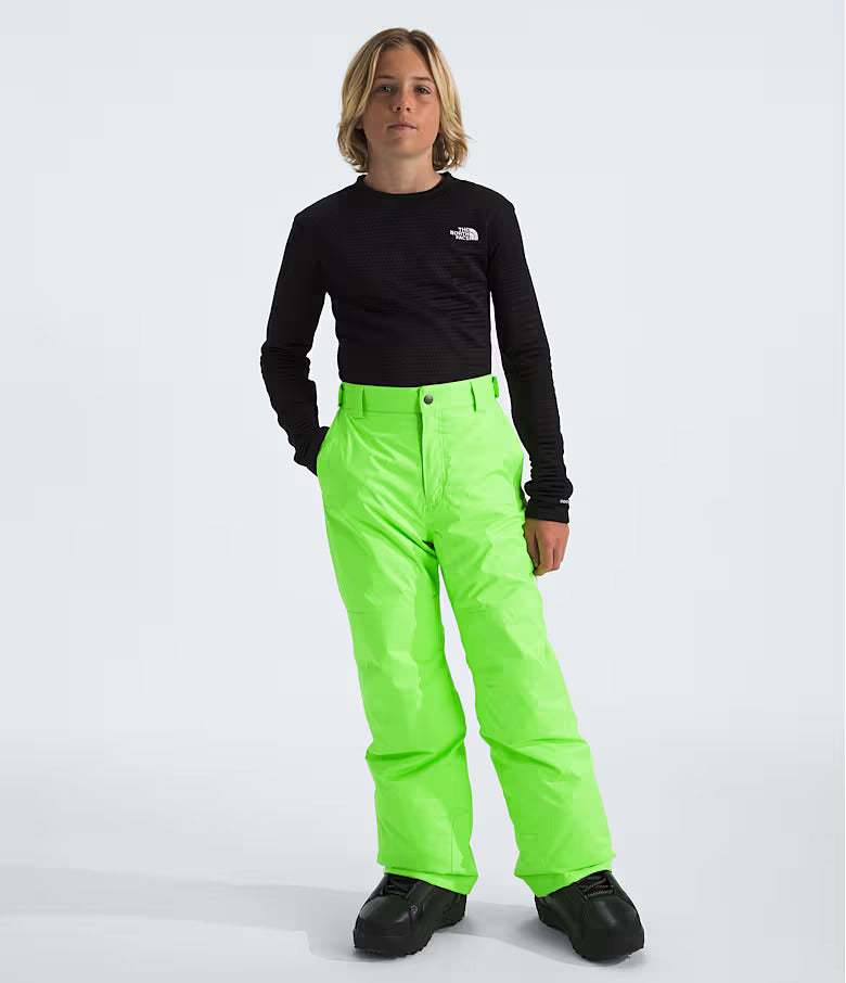 The North Face Boys' Freedom Insulated Pants
