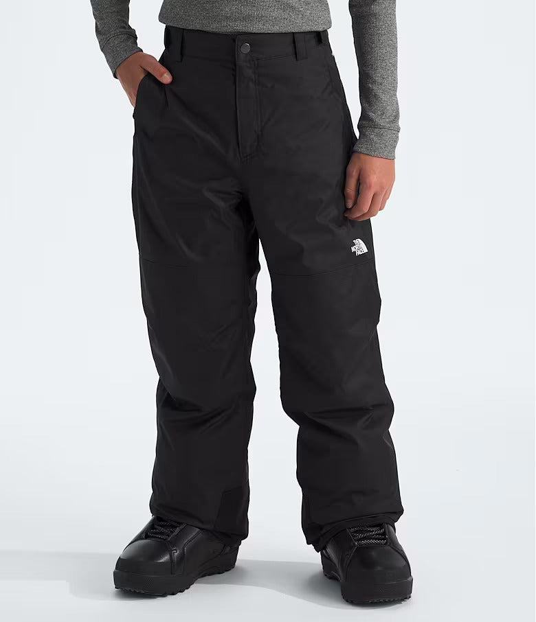 The North Face Boys' Freedom Insulated Pants