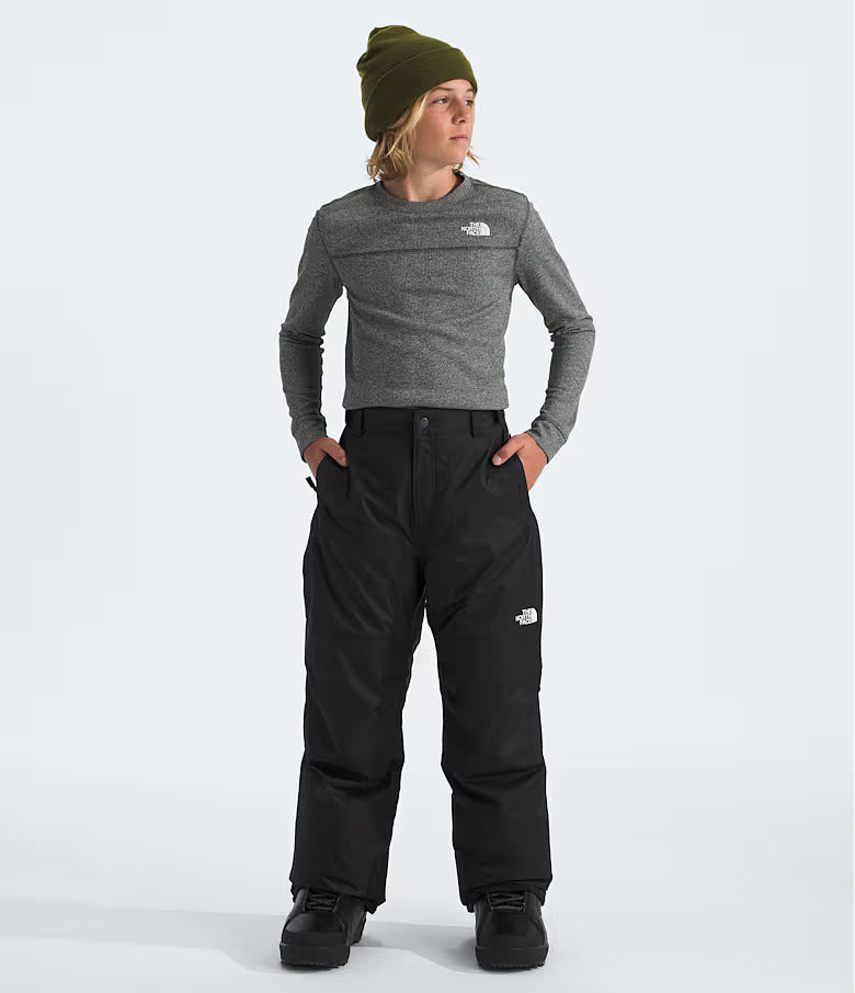 The North Face Boys' Freedom Insulated Pants