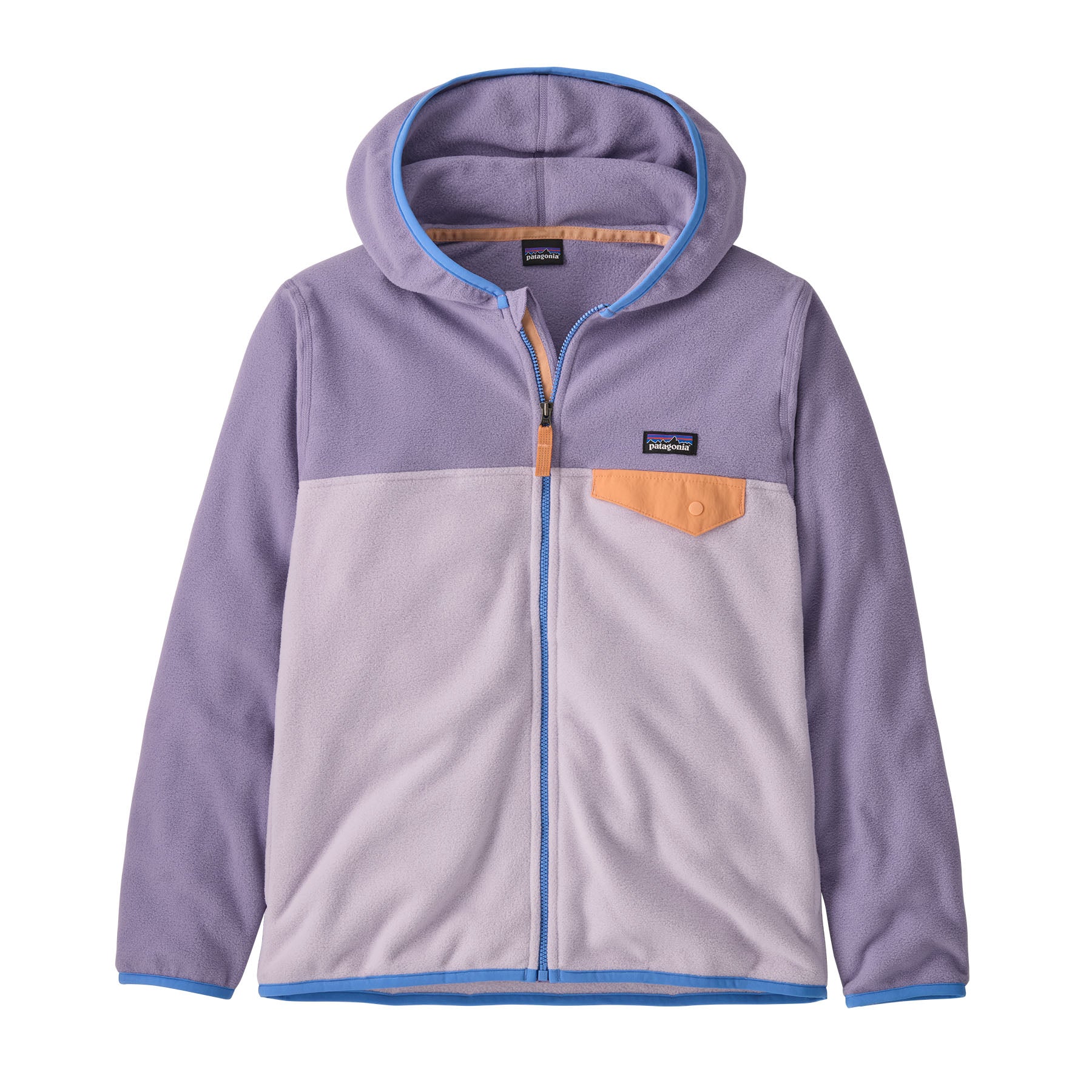 Patagonia Kids Micro D Snap-T Jacket