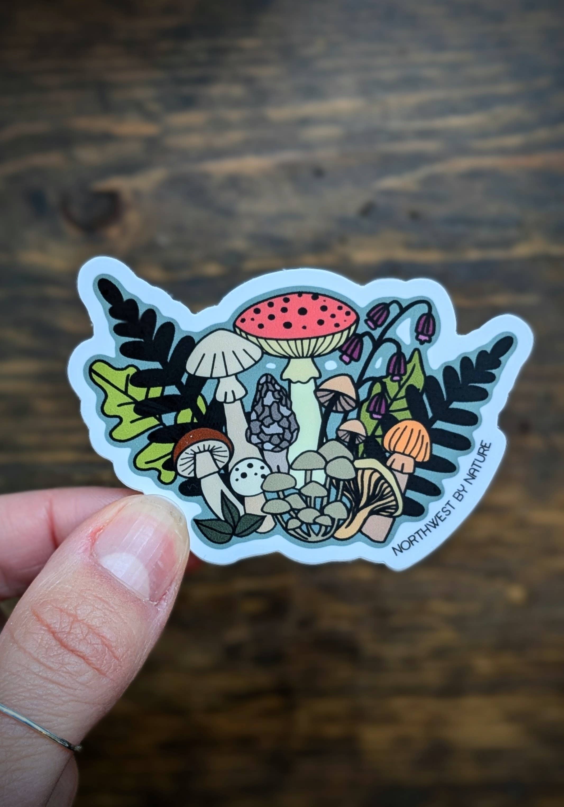 Fungi Friends Sticker