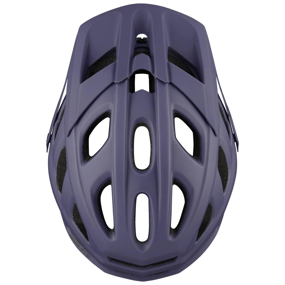 IXS Trail RS Evo Mountain Bike Helmet - Mountain Kids Outfitters: Raisin, Top View