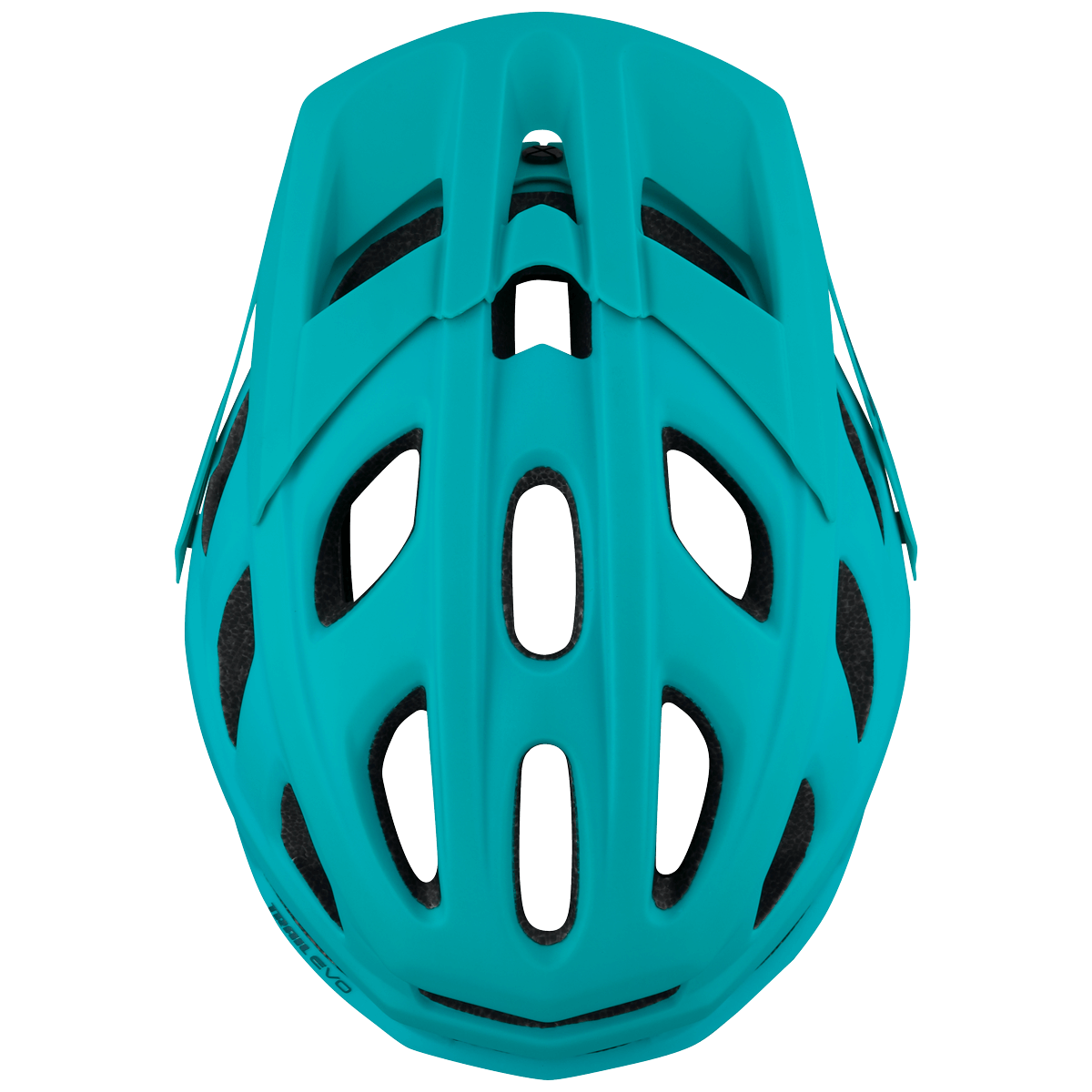 IXS Trail RS Evo Mountain Bike Helmet - Mountain Kids Outfitters: Lagoon, Top View
