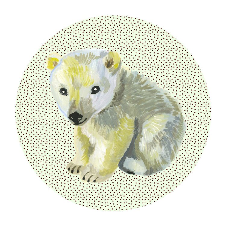 NOSO Patch LE - Mountain Kids Outfitters