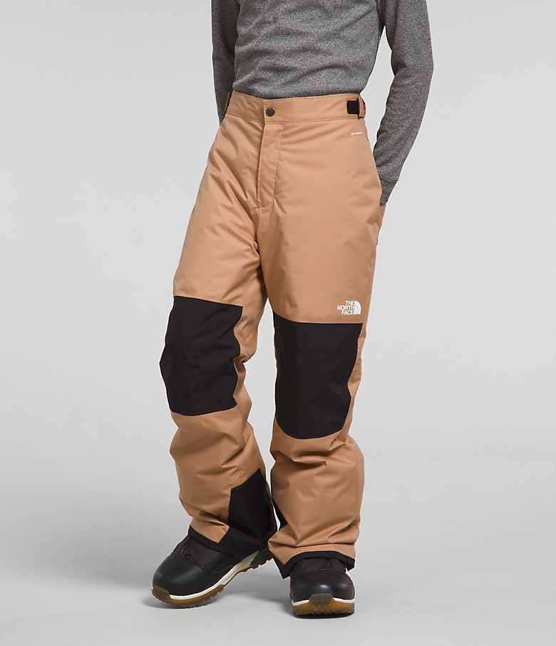 http://mountainkids.ca/cdn/shop/products/the-north-face-boys-freedom-insulated-pants-763360.jpg?v=1701616415