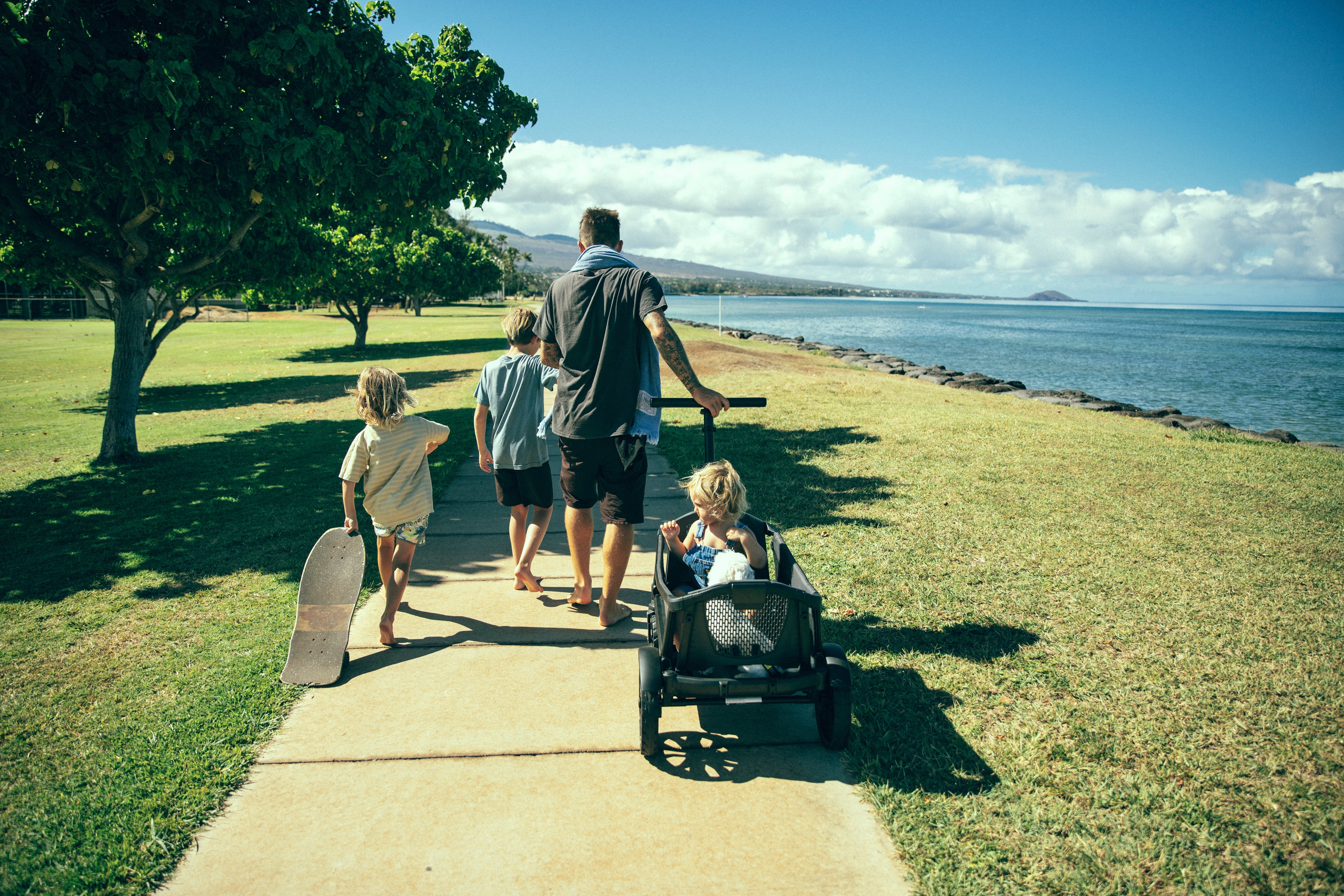 Veer Cruiser - Next Generation Premium Stroller Wagon Crossover - Mountain Kids Outfitters
