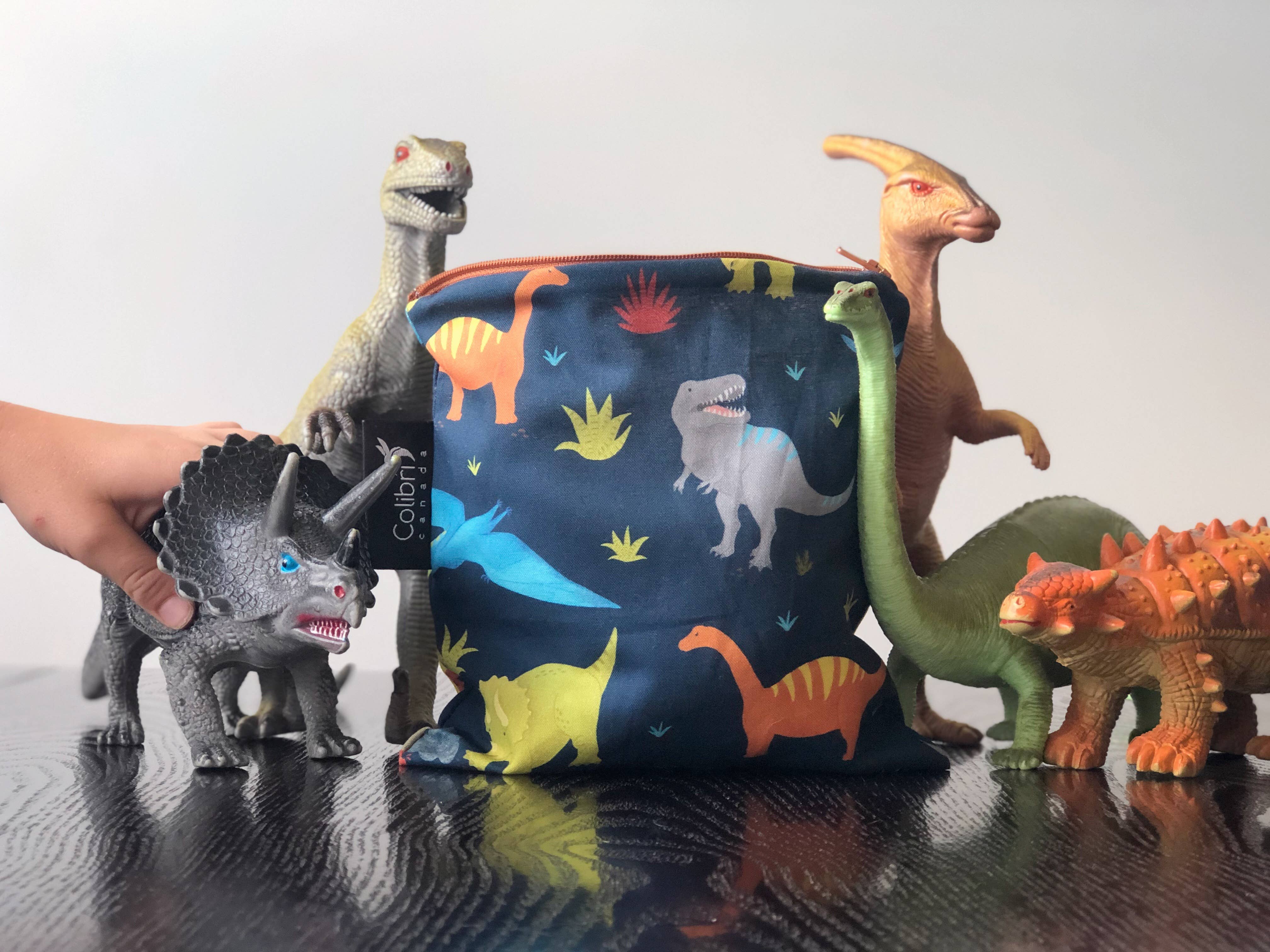 Dinosaurs Reusable Snack Bag - Large