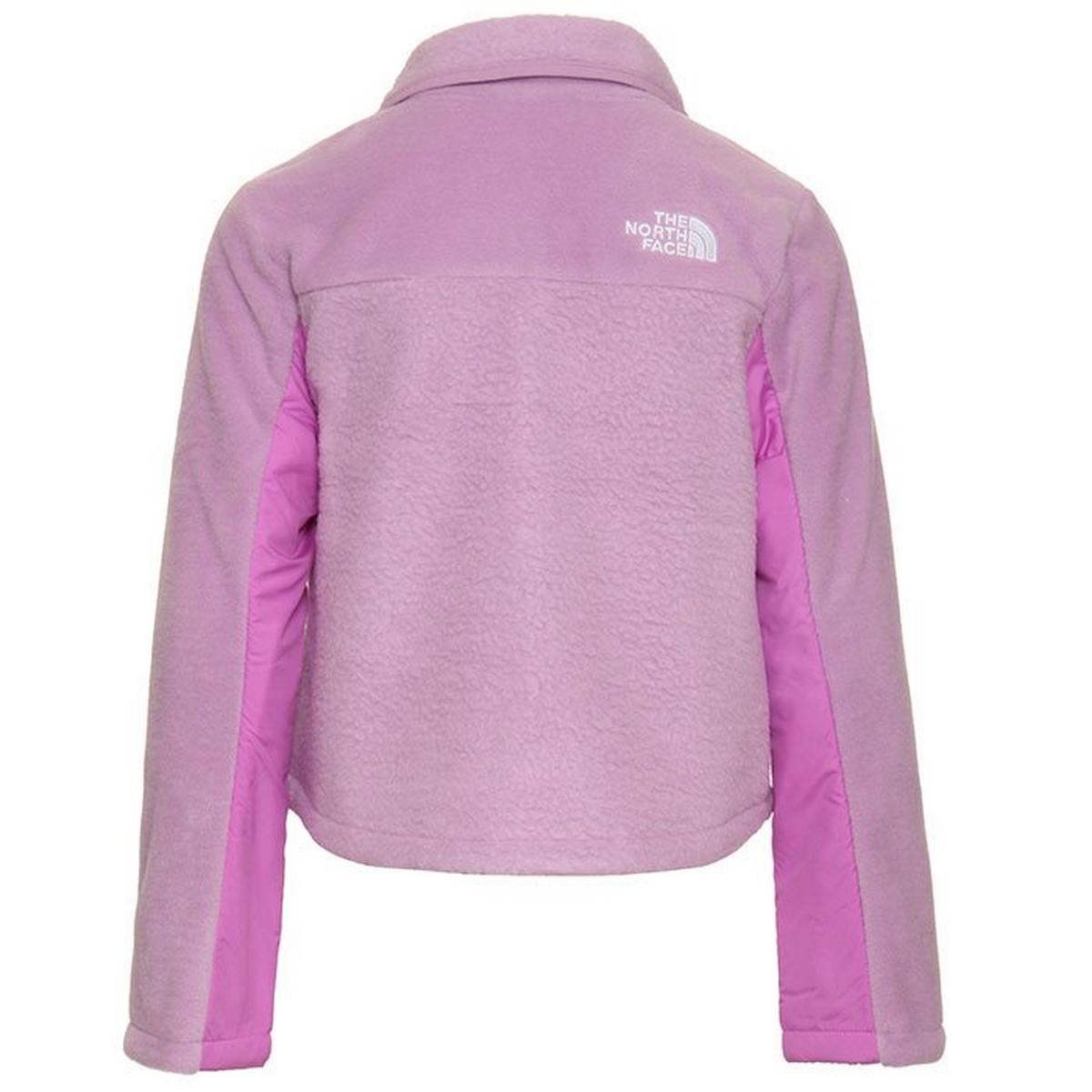 Purple fleece north face jacket best sale