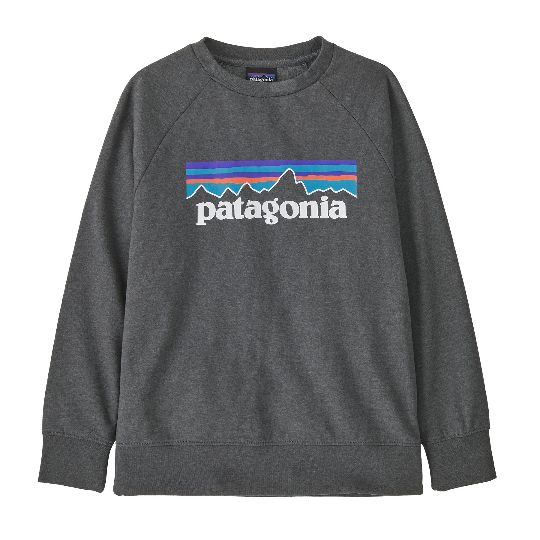 Patagonia Kids Lightweight Crew Sweatshirt - Mountain Kids Outfitters