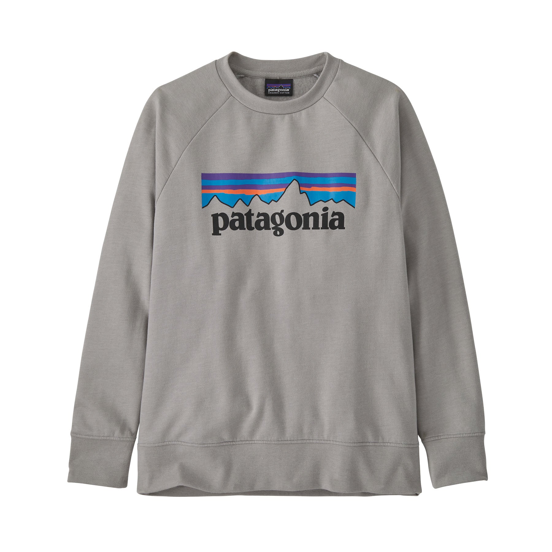 Patagonia Kids Lightweight Crew Sweatshirt - Mountain Kids Outfitters