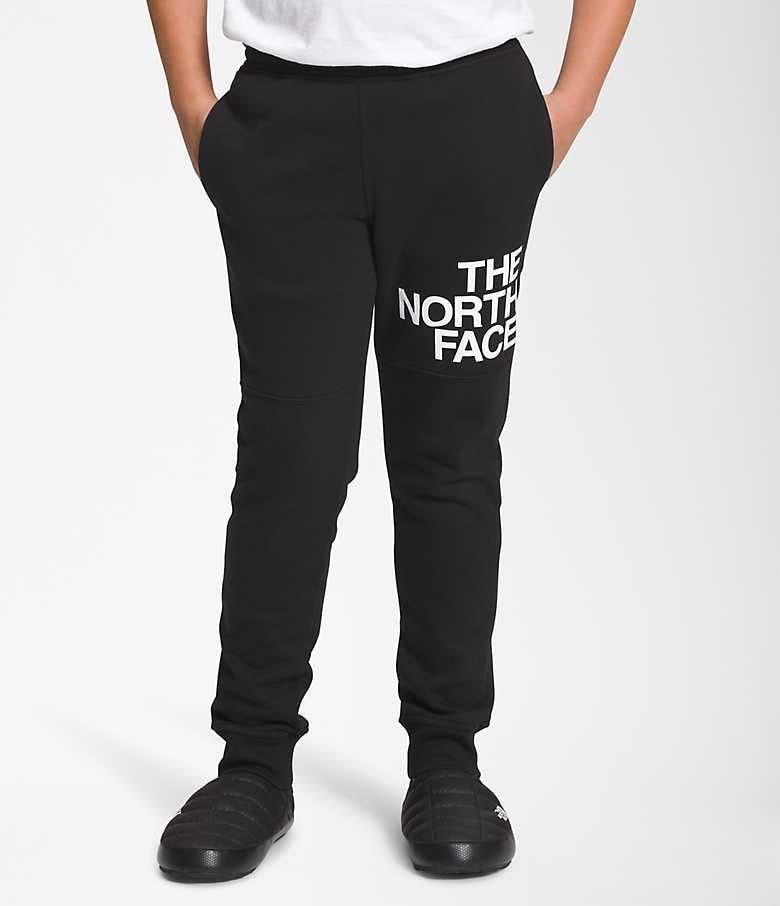 The North Face Boys' Camp Fleece Jogger - Mountain Kids Outfitters